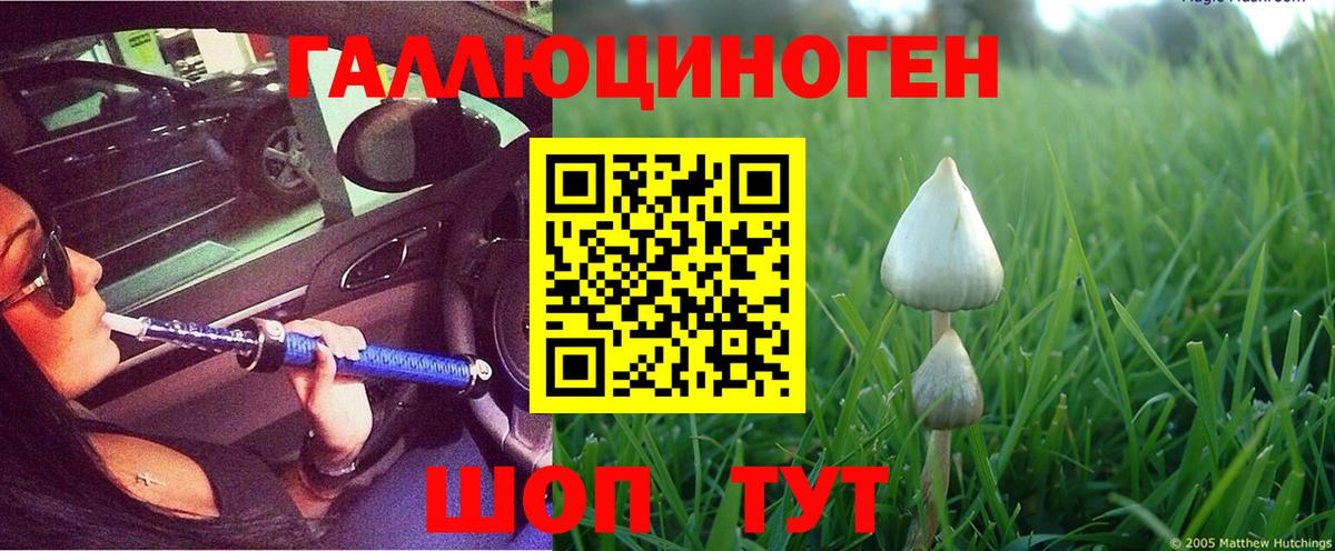 купить  цена  Вход с VPN  Обь  Галлюциногенные грибы Psilocybe 