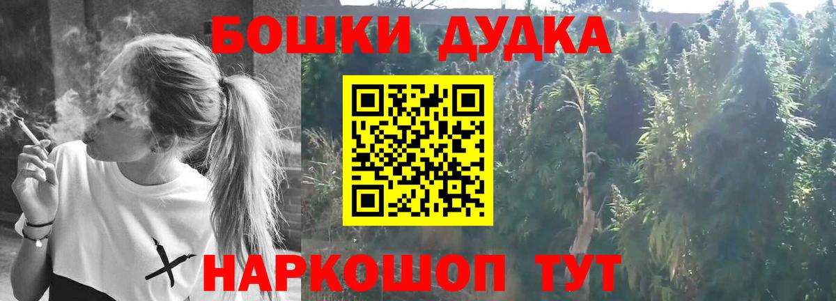 Бошки Шишки ГИДРОПОН Обь